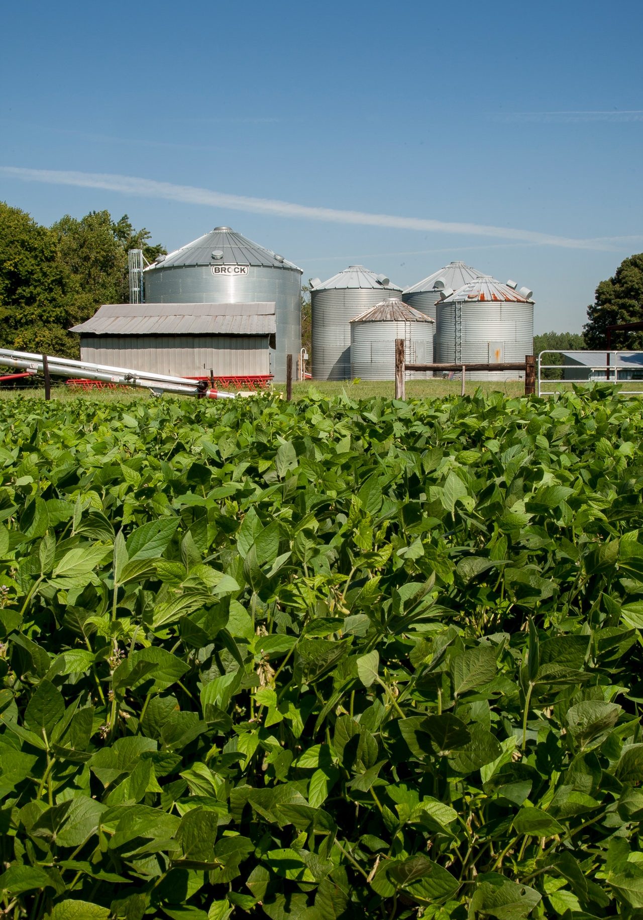 Agriculture 1