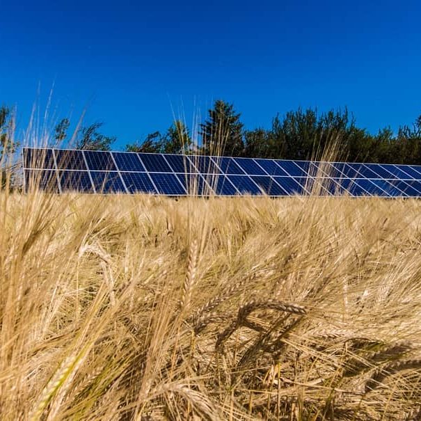 Go Solar Agriculture Farm BG Agricultural Install